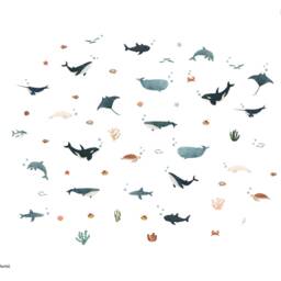 Ocean Friends Wall Sticker Pack, Underwater Decals, Whale Stickers For Walls, Themed Room - thumbnail 2