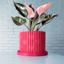 Modern Heart Plant Pot With Drainage & Saucer - Unique Valentine's Day Gift For Lovers, 3D Printed Planter Home Hosting Decor