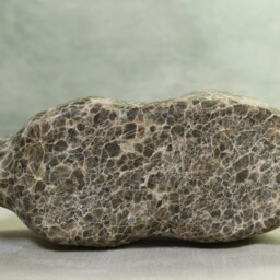 Bull - thumbnail 4