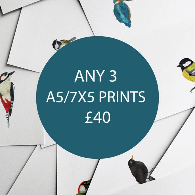 Any 3 A5 Prints - Nursery Prints Baby Home Decor Kids Room Wall Art Illustration Special Offer