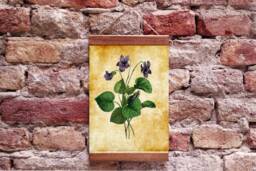 Violets Vintage Botanical Wood Framed Canvas Print, Plant Floral Art Wall - thumbnail 1