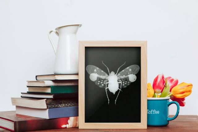 Monochrome Plant Hopper Wall Art Print, Natural History Photography, Minimalist Home Decor, Farmhouse Living Room Ideas, Taxidermy Prints - image 1