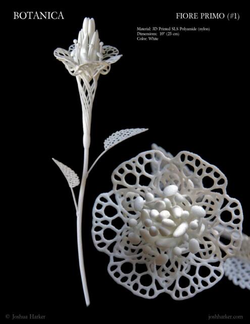 Fiore Primo - 3D Printed Filigree Flower By Joshua Harker