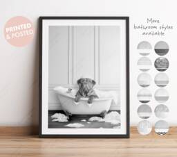 Black & White Dogue De Bordeaux Dog in A Bath Print, Bathing, Funny Bathroom Animal Bathtub, Dog Tub Whimsy - thumbnail 1