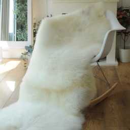 "100% British Rare Breed Double Sheepskin Rug in Undyed ""Dorset Ivory" - thumbnail 3