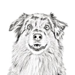 Australian Shepherd - Wooden Stand For Candles/Pens With The Image Of A Dog New Collection - thumbnail 2