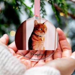 Cat Memorial Ornament, Christmas Photo Ornaments, Lover Gift, Custom Pet Personalised Tree Decorations - thumbnail 2