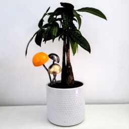 Mini Toadstool Plant Pot Decoration/steel Fungi Sculpture Indoor & Outdoor Pals - thumbnail 3