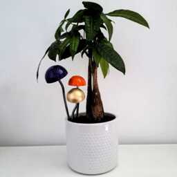 Mini Toadstool Plant Pot Decoration/steel Fungi Sculpture Indoor & Outdoor Pals
