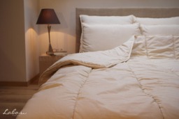 Luxurious Twin Comforter - All Season Thickness Natural Wool Filled - Us Duty Paid