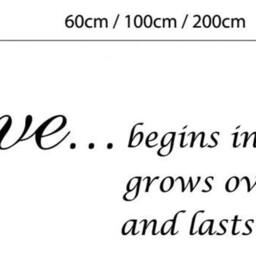 Wall Decal Love Begins in A Moment Bedroom Sticker Wedding Gift Romance Living Room Lounge Dining Kitchen - thumbnail 2