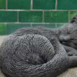 Stone Curled Cat Sculpture Concrete Kitten Figurine Cement Sleeping Kitty Statue Outdoor Decoration Memorial Art Kitty Lover Gift - thumbnail 3