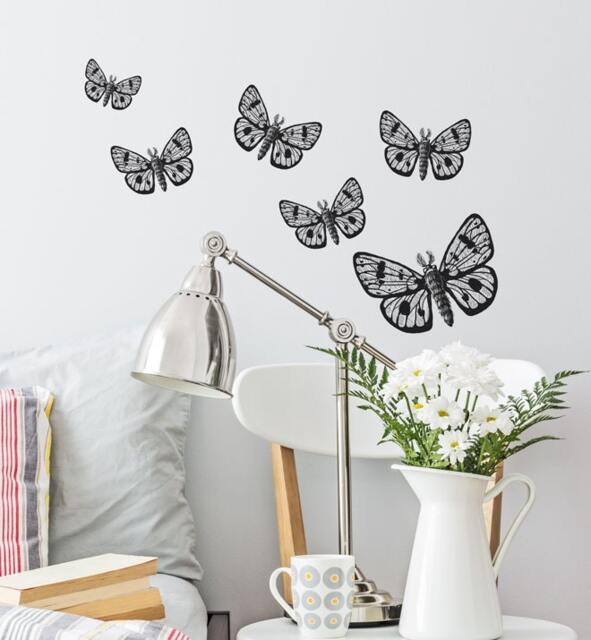 Owl Moth Wall Sticker Decal - Australian Animal Decals, Stickers, Kids, Native Animals Art