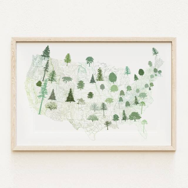 State Treescape Map Drawing - Art Print American Usa State Trees Earth Day Arbor Print Home Decor Tree Hugger Arborist Forest Gift - image 1