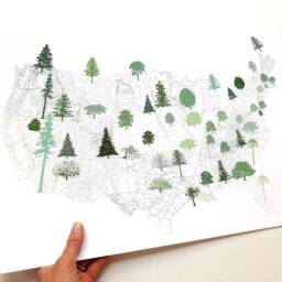 State Treescape Map Drawing - Art Print American Usa State Trees Earth Day Arbor Print Home Decor Tree Hugger Arborist Forest Gift - thumbnail 2