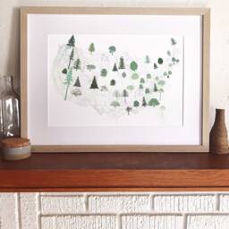 State Treescape Map Drawing - Art Print American Usa State Trees Earth Day Arbor Print Home Decor Tree Hugger Arborist Forest Gift - thumbnail 4