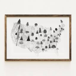 State Treescape Map Drawing - Art Print American Usa State Trees Earth Day Arbor Print Home Decor Tree Hugger Arborist Forest Gift - thumbnail 3