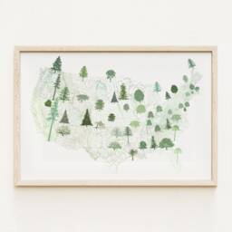 State Treescape Map Drawing - Art Print American Usa State Trees Earth Day Arbor Print Home Decor Tree Hugger Arborist Forest Gift - thumbnail 1