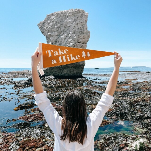 Take A Hike Pennant Flag/Felt Pennant Gallery Wall Decor Caravan Outdoors Travel Adventure Mountain Walks Camping Hiking - image 1