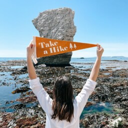 Take A Hike Pennant Flag/Felt Pennant Gallery Wall Decor Caravan Outdoors Travel Adventure Mountain Walks Camping Hiking - thumbnail 1