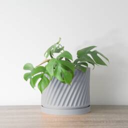 "Penelope Planter With Drainage & Saucer in Gray, Unique 3D-Printed Plant Pot, Small To Large Sizes 4"" 5"" 6"" 7"" 8" - thumbnail 3