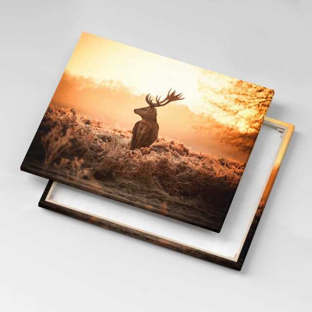 Deer At Sunrise Canvas, Picture Wall Hanging, Beige Decor, Animals Canvas Print - image 1