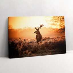 Deer At Sunrise Canvas, Picture Wall Hanging, Beige Decor, Animals Canvas Print - thumbnail 2