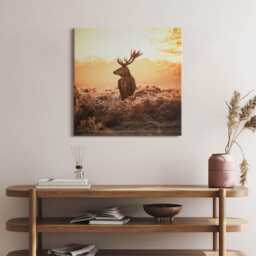 Deer At Sunrise Canvas, Picture Wall Hanging, Beige Decor, Animals Canvas Print - thumbnail 3