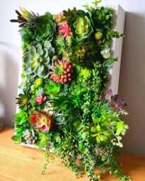 Faux Succulent 3D Wall Art Rustic Wood Framed Botanical Decor For Home Or Business - thumbnail 1