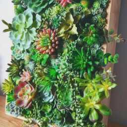 Faux Succulent 3D Wall Art Rustic Wood Framed Botanical Decor For Home Or Business - thumbnail 3