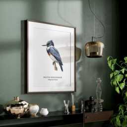 Belted Kingfisher, Bird Prints, Nature Wall Art, Bird Lover Gift Ideas, Home Decor - thumbnail 3