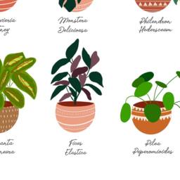 House Plant Art, Bohemian Poster, Wall Decor, Potted Plants, Indoor Gift For Mom, Houseplant Botanical Art - thumbnail 3