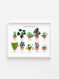 House Plant Art, Bohemian Poster, Wall Decor, Potted Plants, Indoor Gift For Mom, Houseplant Botanical Art - thumbnail 1