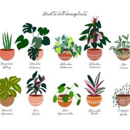 House Plant Art, Bohemian Poster, Wall Decor, Potted Plants, Indoor Gift For Mom, Houseplant Botanical Art - thumbnail 2
