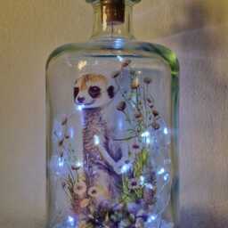 Meerkat Bottle Lamp, Cute Meerkat Gift For Animal Lover - thumbnail 4