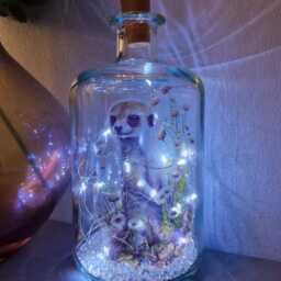 Meerkat Bottle Lamp, Cute Meerkat Gift For Animal Lover - thumbnail 3