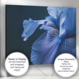 Blue Iris Macro Floral Photography Dark Botanical Close Up Canvas Wall Art Print Decor Picture Ready To Hang - thumbnail 3
