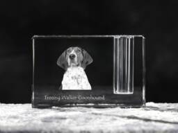 Treeing Walker Coonhound , Crystal Pen Holder With Dog, Souvenir, Decoration, Limited Edition, Collection - thumbnail 1