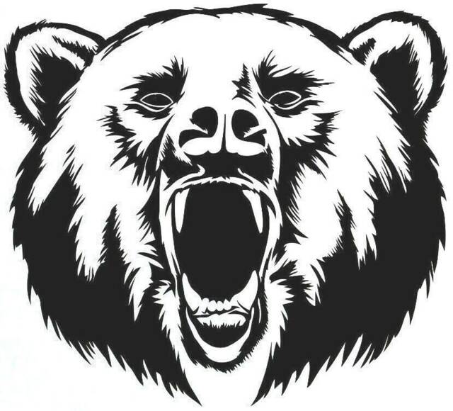 Bear Head Fearse Scary Wild Car Van Bonnet Side Sticker Decal Wall Art Vinyl Graphic Window Door Body Panel Decor Sign Bears Animal