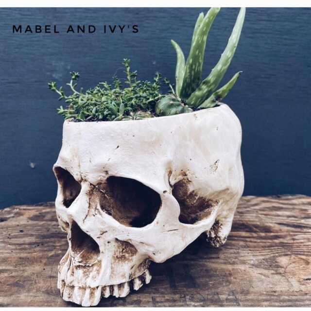 Handmade Gothic Skull Planter Plant Pot Resin Faux Human Skeleton Holder - image 1