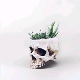 Handmade Gothic Skull Planter Plant Pot Resin Faux Human Skeleton Holder - thumbnail 2