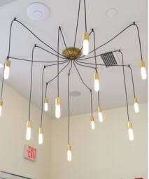 Spider Chandelier - 14 Pendant Swag Custom Lighting Led White Tube Lights Octopus - thumbnail 1