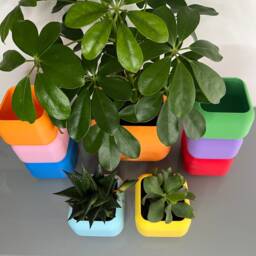 Colourful Rounded Square Indoor Planter With Feet - thumbnail 4