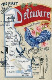 Delaware State Pillow With Feather Insert - thumbnail 2