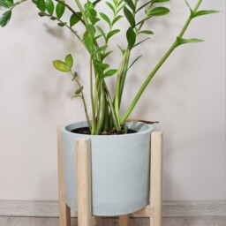 Bleached Oak Plant Stand, Mid Century Modern Planter Holder, Solid Wood Indoor Stands - thumbnail 2