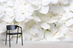 3D White Hydrangea Wallpaper, Floral Wall Mural, Peel & Stick