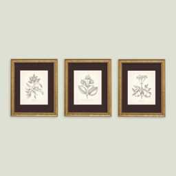 Vintage Style Botanical Prints Set Of 3 Poster Wildflower Print Flower Art Neutral Decor - thumbnail 3