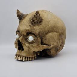 Bright Eyes Human Skull Replica . Realistic Plaster Of Paris Life Size Replica - thumbnail 3