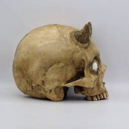 Bright Eyes Human Skull Replica . Realistic Plaster Of Paris Life Size Replica - thumbnail 4