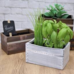 Personalised Indoor Wooden Pot Planter - Herb Handcrafted Wooden Pot Gift For Grandparents Holder - thumbnail 1